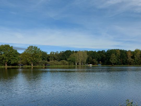 Großdrebnitzer Teich-3