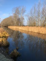 Ruppiner Kanal (Kremmen)-3