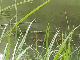 Handelshafen Magdeburg-3