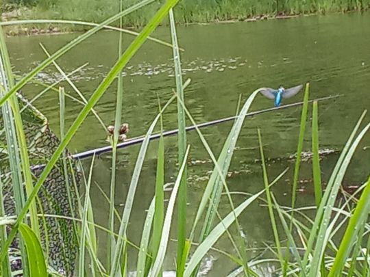 Handelshafen Magdeburg-4