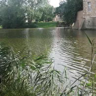 Schlossgräfte Gemen-2