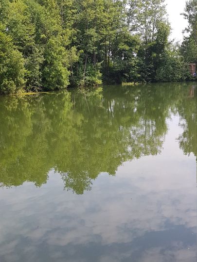 Angelpark Schermbeck-3