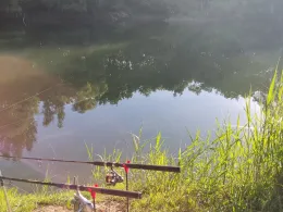 Philippsburger Altrhein-2