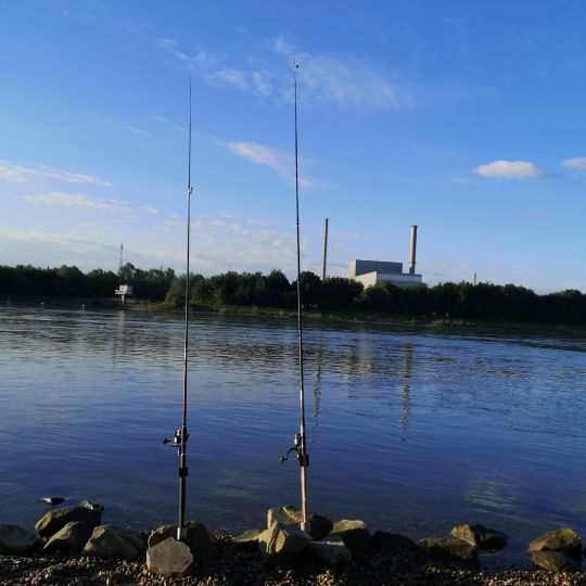 Philippsburger Altrhein-1