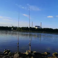 Philippsburger Altrhein-1