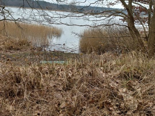Neuklostersee-1