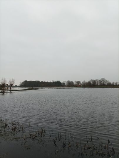 Treene (Sollerup-Hünning)-1