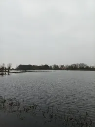 Treene (Sollerup-Hünning)-1