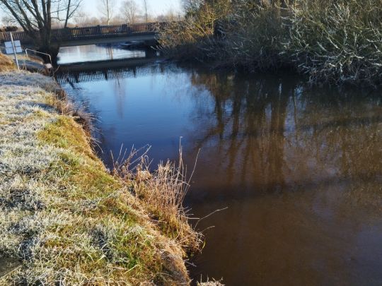 Treene (Sollerup-Hünning)-2