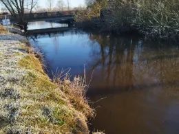 Treene (Sollerup-Hünning)-2