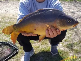 Forellensee Heisede-2