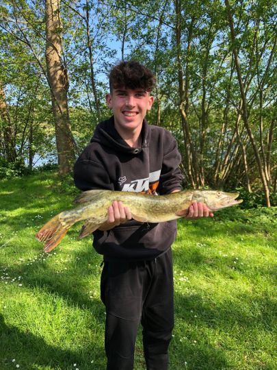 Südensee (Sörup)-3