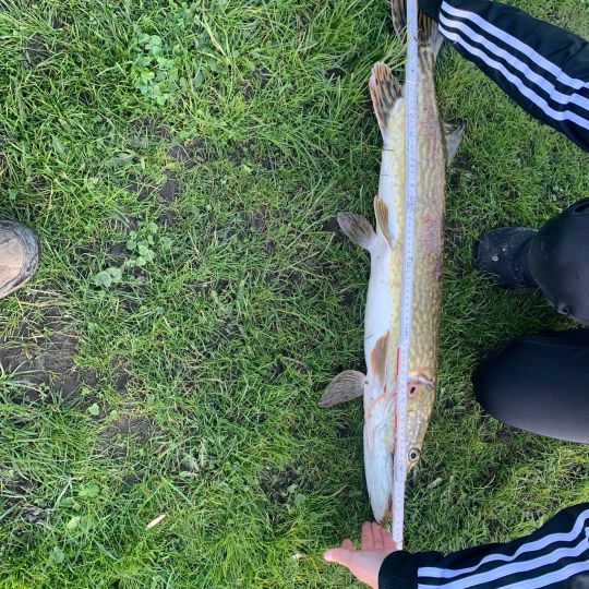 Südensee (Sörup)-2