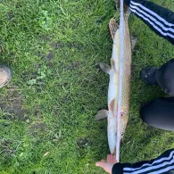 Südensee (Sörup)-2