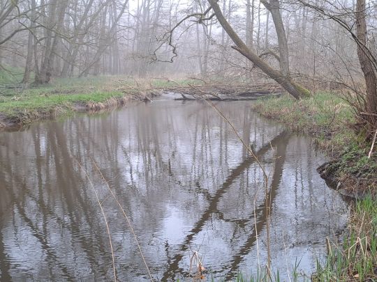 Lößnitz (Güstrow)