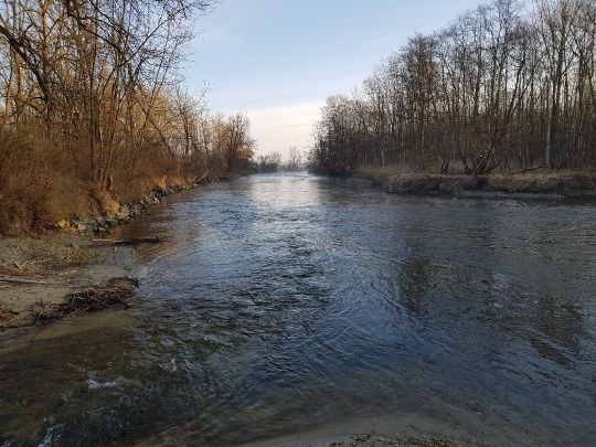 Amper (Haimhausen)-1