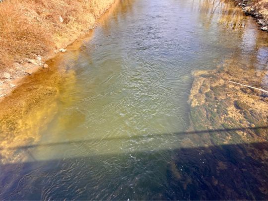 Amper (Haimhausen)-3