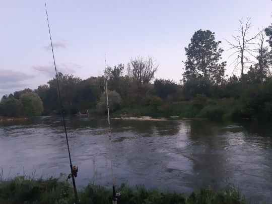 Amper (Haimhausen)-2