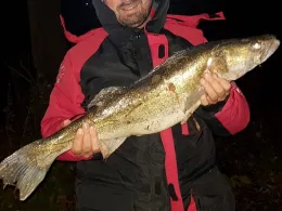 Großer Kurparkteich (Bad Nauheim)