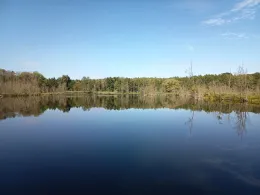 Kellnerfenn (Lehnin)-2