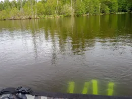 Kellnerfenn (Lehnin)