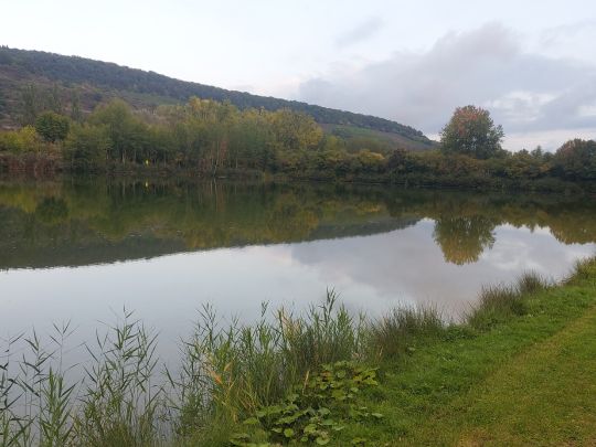 Badeseen Erlabrunn-2