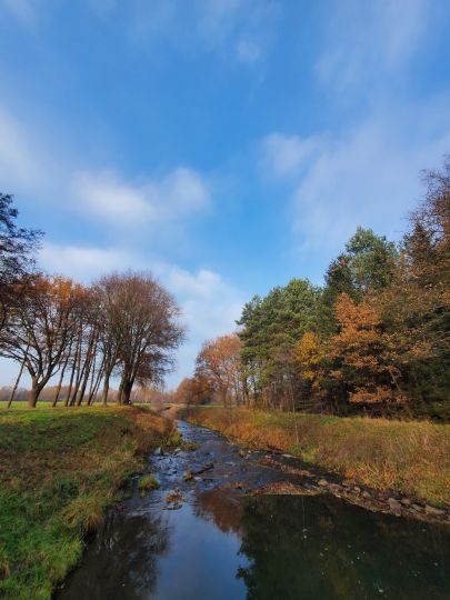 Goldbach (Hasbergen)-3