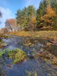 Goldbach (Hasbergen)-1