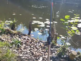 Bruchmühlenteiche (Groß Kölzig)-3