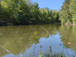 Bruchmühlenteiche (Groß Kölzig)