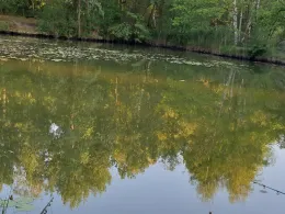 Bruchmühlenteiche (Groß Kölzig)-2