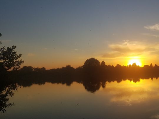 Langer See (Bützow)