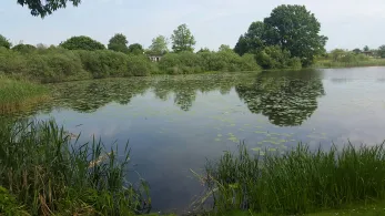 Langer See (Bützow)-3