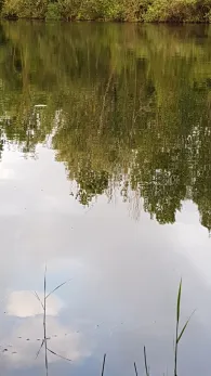 Heinrichs-Talaue-See