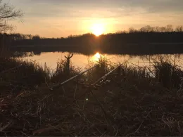 Lettinsee (Altfriedland)