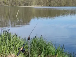 Lettinsee (Altfriedland)-1