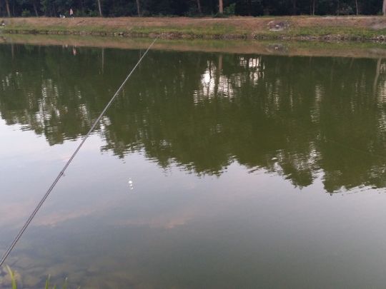 Dortmund-Ems-Kanal (Lingen)-1