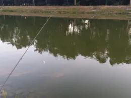 Dortmund-Ems-Kanal (Lingen)-1