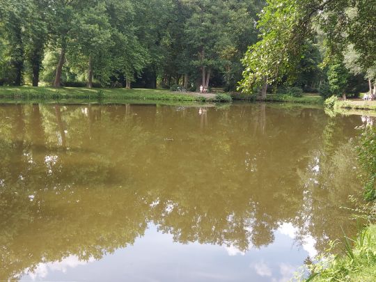 Parkteich Krumke