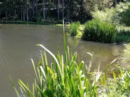 Teich Malbergweich-3