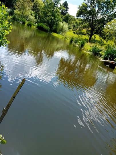 Teich Malbergweich-1