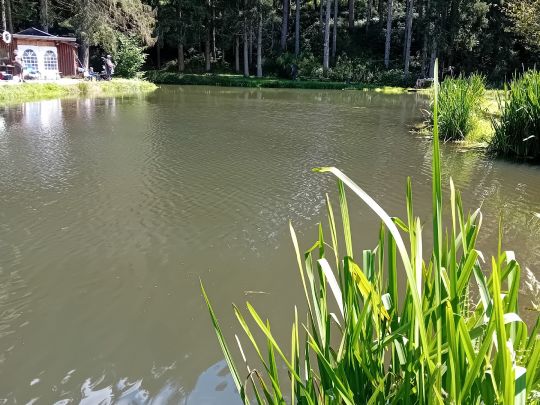 Teich Malbergweich-4