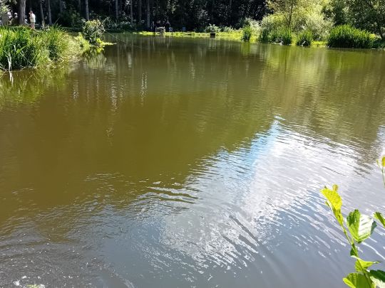 Teich Malbergweich-2