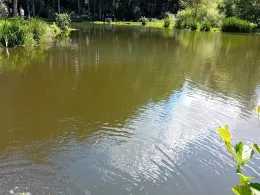 Teich Malbergweich-2