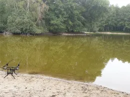 Wischerteich (Danndorf)