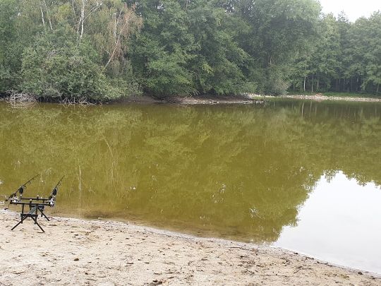 Wischerteich (Danndorf)-1