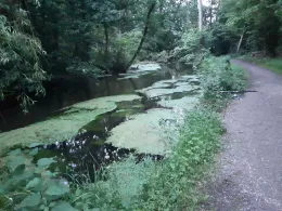 Schwalm (Niederkrüchten)-3