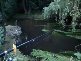 Schwalm (Niederkrüchten)