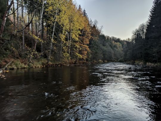 Flöha (Hohenfichte)-2