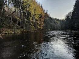 Flöha (Hohenfichte)-2